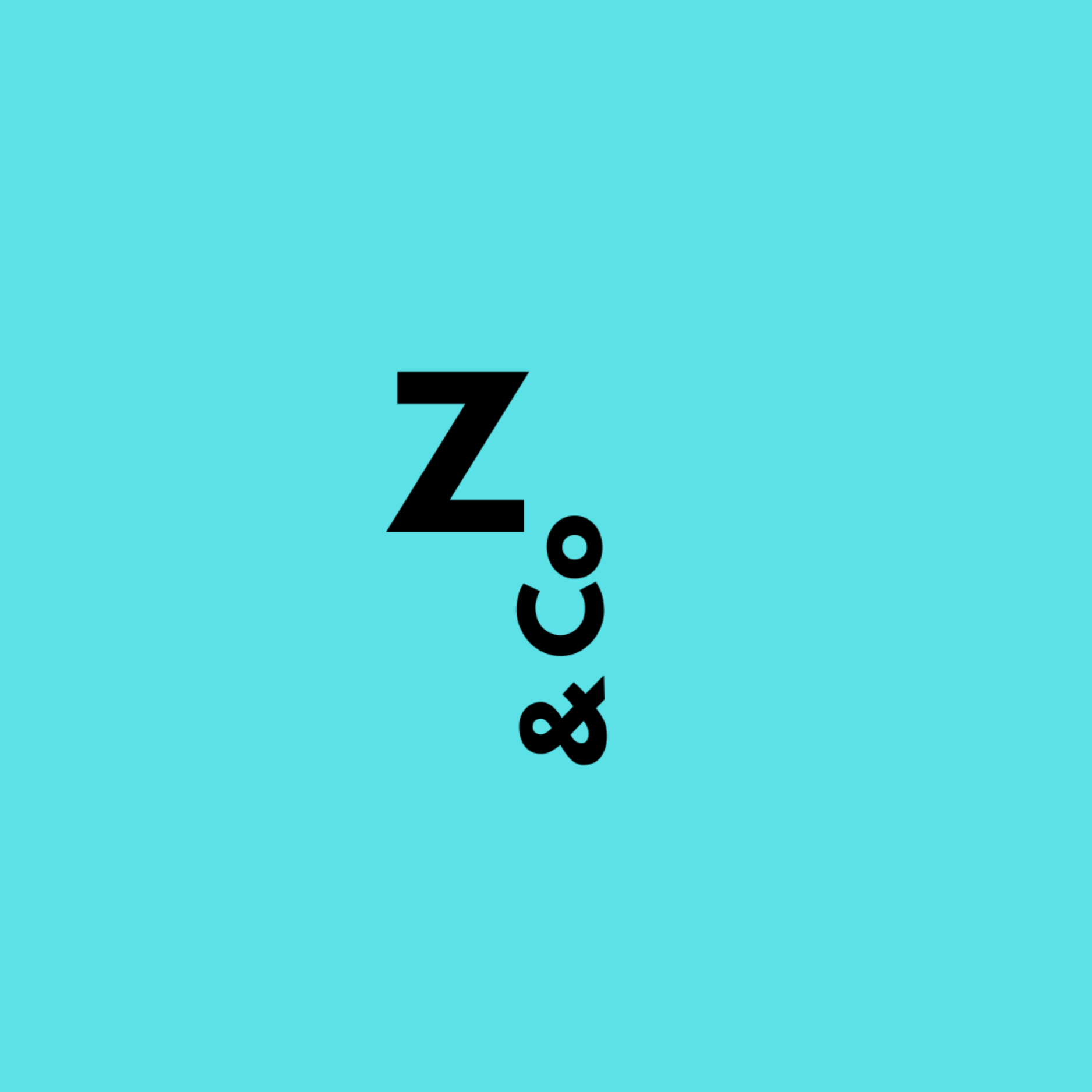 Z & Co. Realty Logo