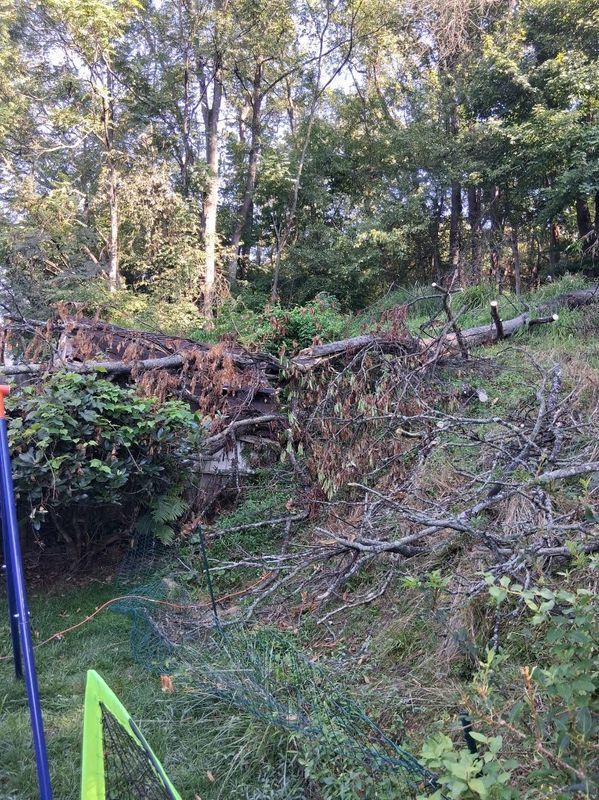 Large-scale site cleanup operations